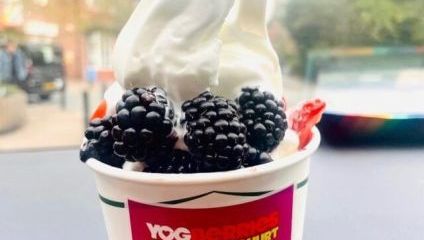 White yogurt in a tub with blackberries scattered at side