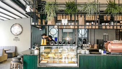 Inside the cafe - the green counter and display, tables and chairs, lots of hanging green plants