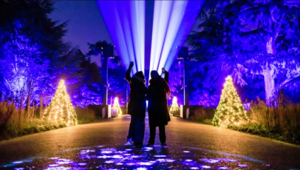 Christmas at Kew  Christmas Light Display London
