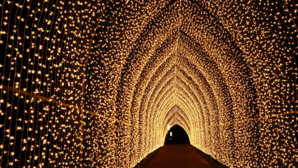 A tunnel covered with thousands of warm white fairy lights, creating an archway with intricate patterns. The lights form a mesmerizing, illuminated path through the darkness, evoking a magical, festive atmosphere.