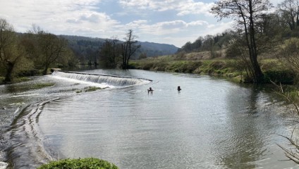 Two people swim in a serene river with a gentle waterfall in the background, surrounded by lush greenery and trees under a partly cloudy sky. Rolling hills are visible in the distance. The scene exudes tranquility and natural beauty.