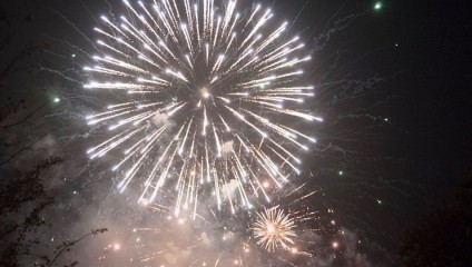 A night sky is illuminated by a vibrant display of fireworks. Large, bright bursts of white and gold firework trails are prominently visible, radiating outward in intricate patterns, creating a festive and lively atmosphere.