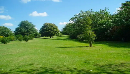 Withdean Park Brightona large informal space with good views of the South Downs. The park is popular with dog walkers and people interested in horticulture.