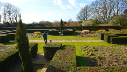 Dyke Road Park Brighton - A person walking a dog along a pathway in a neatly manicured garden with hedges and neatly trimmed bushes. Some trees without leaves stand in the background under a blue sky with a few clouds.