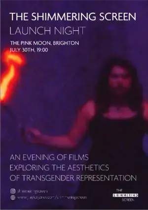 The Shimmering Screen Launch Night