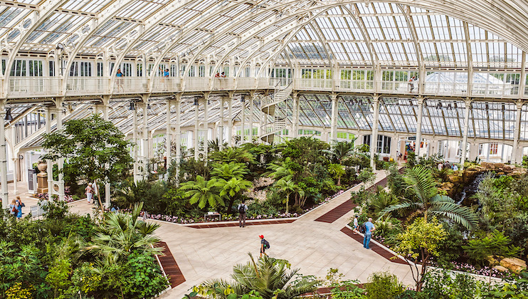 A large indoor botanical garden enclosed by a glass and metal structure. It features lush greenery, various tropical plants, and several pathways. People are walking and exploring the environment. The ceiling is high and arched, allowing ample natural light inside.