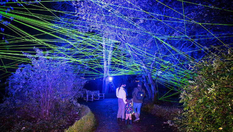 Rhizome - credit Light Up Trails Sir Harold Hillier Gardens At Christmas – Hampshire’s