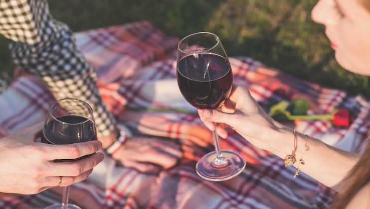 Two people seated on a checkered blanket clink their glasses of red wine in a toast. One person is wearing a bracelet, and there is a rose lying on the blanket between them. The image suggests a relaxed, outdoor picnic setting.