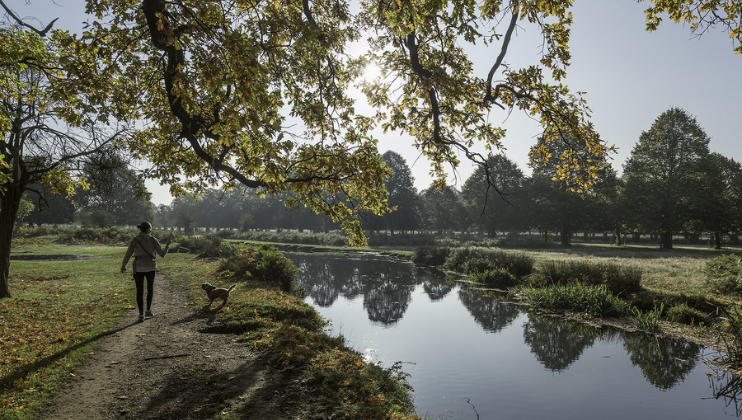 A woman walks along a path beside a calm river with a dog by her side. The sun shines through the branches of trees adorned with autumn leaves, casting reflections on the water. The landscape is serene with distant trees lining the horizon.