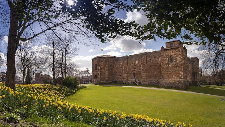 An ancient brick castle with small windows is surrounded by a large green lawn and blooming daffodils. Leafless trees and scattered clouds are illuminated by sunlight breaking through the foliage, creating a picturesque contrast with the blue sky.