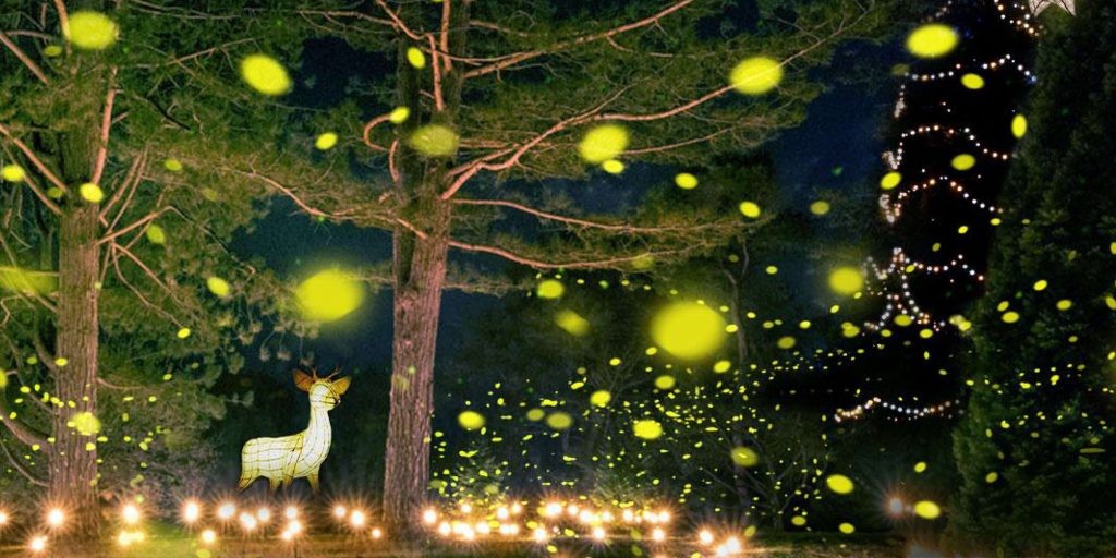 A magical woodland scene from Glow Wild 2025 at Wakehurst, featuring a glowing deer lantern surrounded by shimmering golden lights that float through the trees. The illuminated forest canopy and sparkling trails create an enchanting atmosphere, showcasing one of Sussex’s most popular winter light events. This immersive lantern trail is a highlight of Christmas in Sussex, drawing families and visitors to Wakehurst for a breathtaking seasonal experience filled with nature, art, and festive illumination.