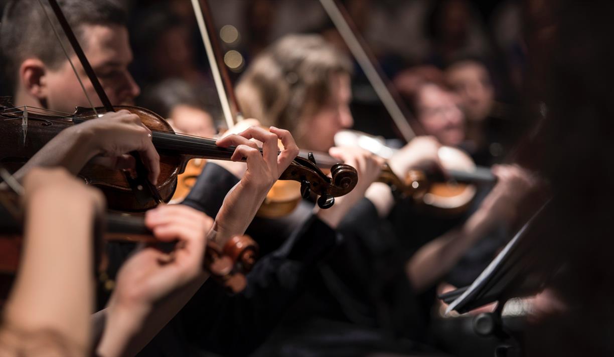 Close up of the strings section in an orchestra.