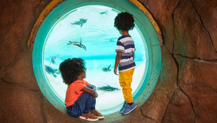Two children, a boy and a girl, are observing penguins through a large underwater glass window at an aquarium. The boy stands and the girl crouches as they watch the penguins swimming. The window is set in a rocky wall, giving a clear underwater view.