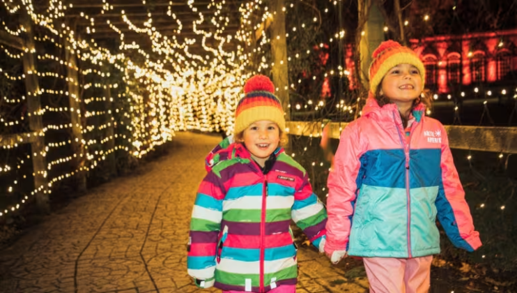 Ashton Court Winter Light Trail 2025