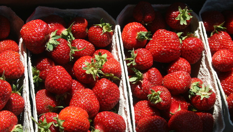 Three containers filled with ripe, red strawberries with green leaves are tightly packed next to each other. The strawberries have a glossy sheen and are basking in sunlight, highlighting their vibrant color.