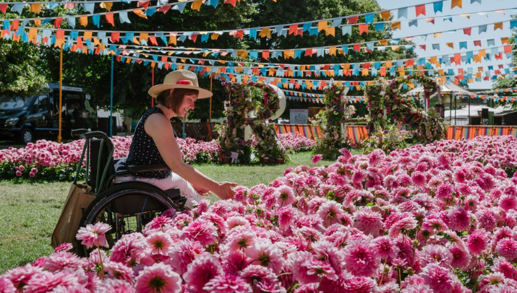 A woman in a wheelchair, wearing a straw hat and a polka dot blouse, enjoys a garden filled with vibrant pink flowers. Colorful triangular flags are strung overhead, creating a festive atmosphere. Trees and other decorations are visible in the background.