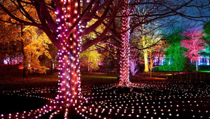 A dazzling festive experience awaits at Christmas at Westonbirt