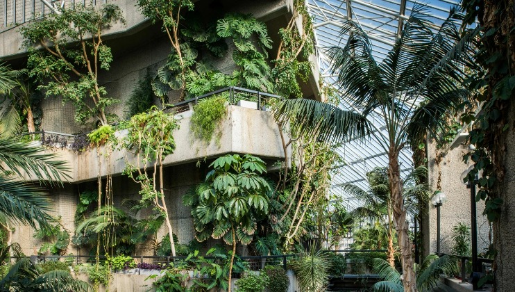 A lush indoor garden with tall tropical plants and vines growing on multiple levels of a concrete structure. Glass ceiling panels allow natural light to flood the space. The area is well-maintained, creating a tranquil and green environment.