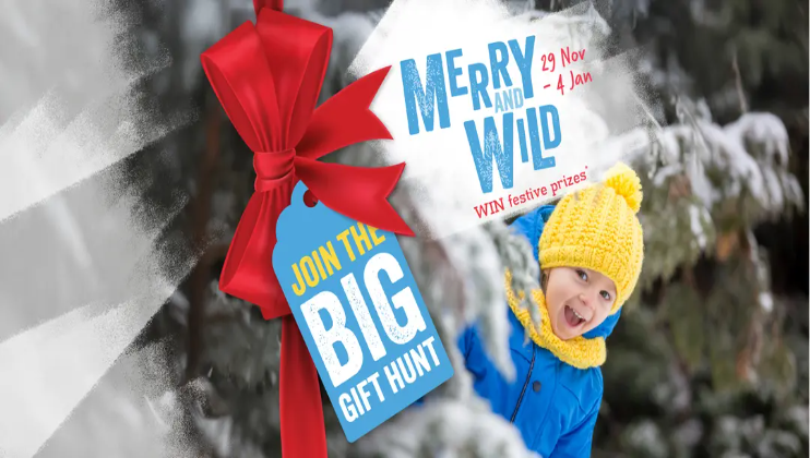 Merry and Wild: Christmas at Bristol Zoo Project