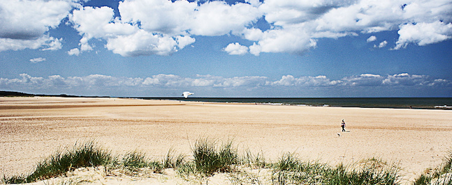 A vast, sandy beach stretches under a blue sky dotted with white clouds. In the foreground, clumps of grassy dunes appear. The ocean is seen in the background. A single person walks at a distance near the water's edge.