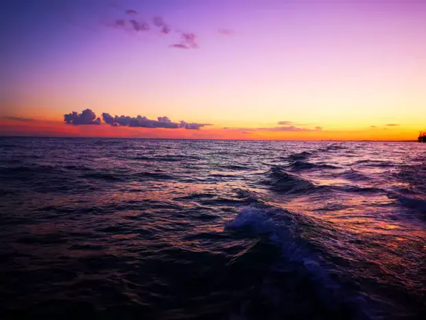 Brighton Sunset cruise with the Sussex Dolphin Project