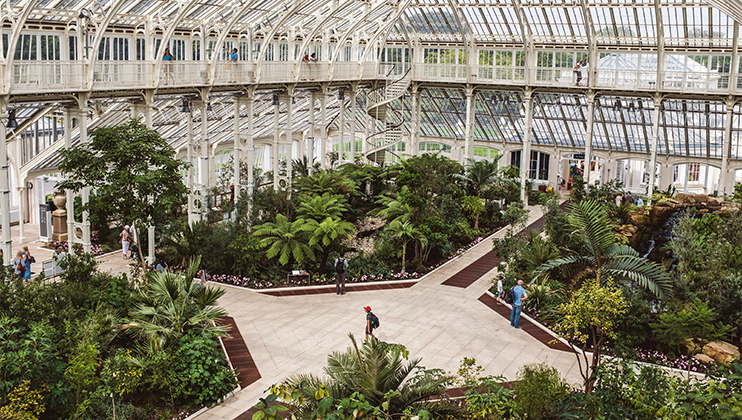 A large indoor botanical garden with lush green plants and trees. The space has a tall glass ceiling and large windows, allowing natural light to flood in. Visitors walk along paved pathways, and a spiral staircase is visible in the background.