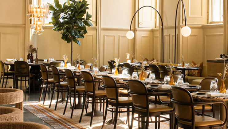 A stylish, modern restaurant with wooden tables and chairs arranged neatly. Warm lighting from pendant lamps and a chandelier highlight the space. A large potted plant adds greenery. Table settings include glasses, plates, and decorative elements. Large windows allow natural light.