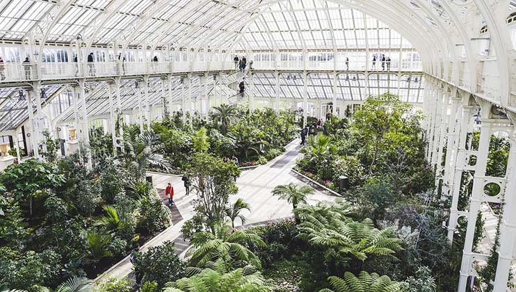 A large greenhouse with a high glass ceiling and white metal framework. Various green plants and trees fill the space, creating a lush atmosphere. Walkways meander through the foliage, and people can be seen walking and observing the plants.