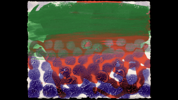 Howard Hodgkin: In a Public Garden1997-8, Lift-ground etching and aquatint with carborundum and hand-colouring in acrylic on hand made Somerset 270gsm paper