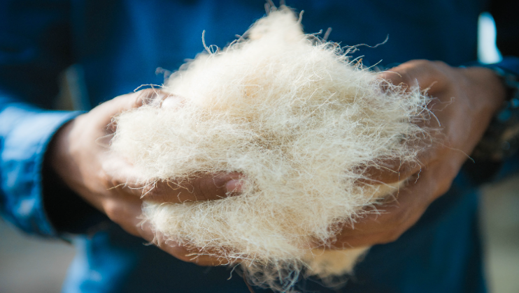 Desi-Oon Wool Traceability Framework - Desi-Oon wool fibres before spinning. Part of UAL Fashion, Textiles and Technology Institute's New Landscapes exhibition, 2025. Credit_ Dr Chaitanya Solanki