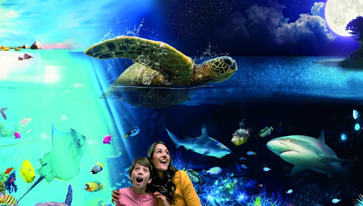 Day & Night Exhibit SEA LIFE Brighton