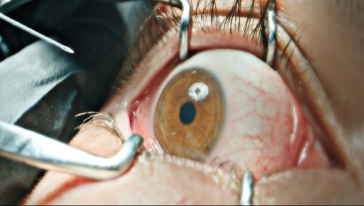 THE HOME, Frightfest 2025 - from director James DeMonaco, creator of The Purge franchise