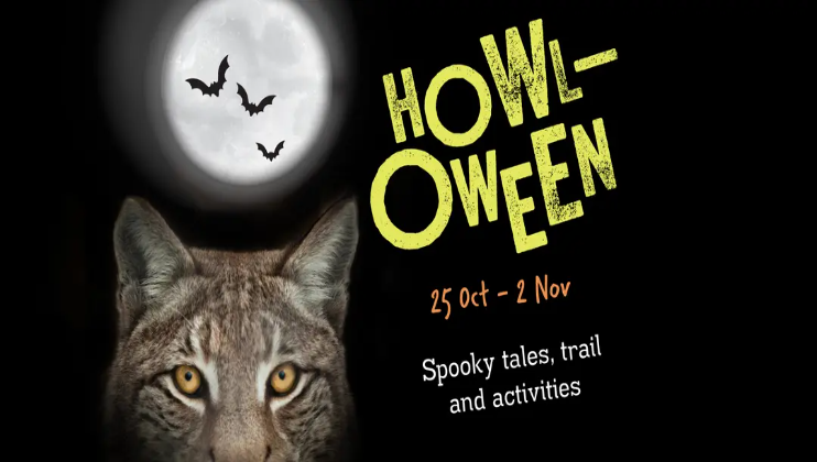 Bristol Zoo Project this Howl-oween