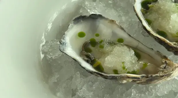 Oyster Opening Masterclass