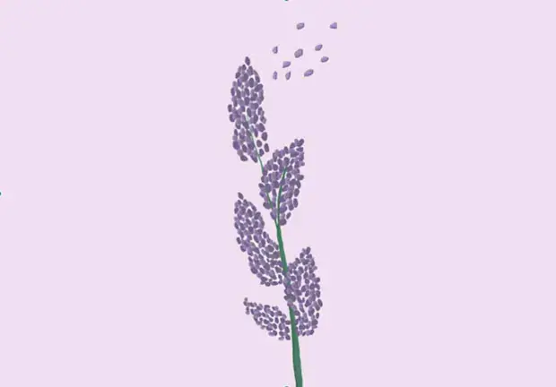 Your Lavender Life Part II Secrets in the Woodwork