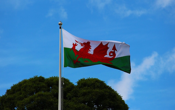 The image shows the Welsh flag, featuring a red dragon passant on a white and green background, waving on a flagpole. A bright blue sky and green tree foliage are visible in the background.